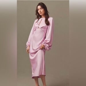 NWT Significant Other Demi Dress